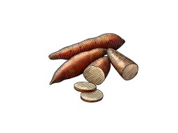 Sweet Potatoes Woodcut